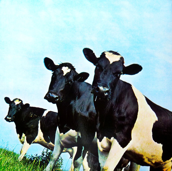 Back cover for album 'Atom Heart Mother"